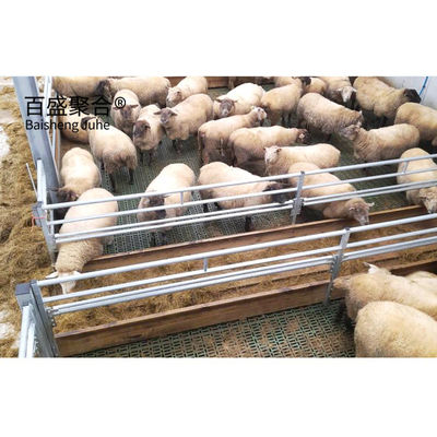 انبار های پیش ساخته شده برای گاوها اسب ها بزها و گوسفندان ساختارهای فولادی ساخت سریع