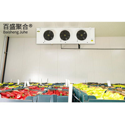 20ft کانتینر متحرک یخچال اتاق سرد برای ماهی سبزیجات میوه ها یخچال ذخیره سازی