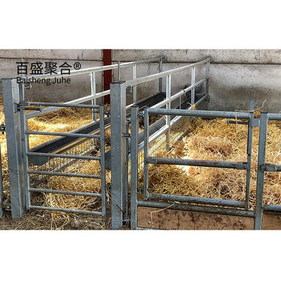 Q345 ساختار فولاد ساختمان فلزی پیش ساخته برای ساخت مزرعه گوسفند و بز