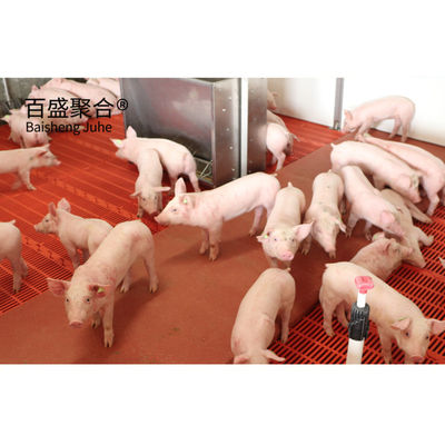 خانه های مزرعه ی پیش ساخته ی خنزیرخونه ای سنگین با طراحی تجهیزات بزرگ و خنزیرخونه ای
