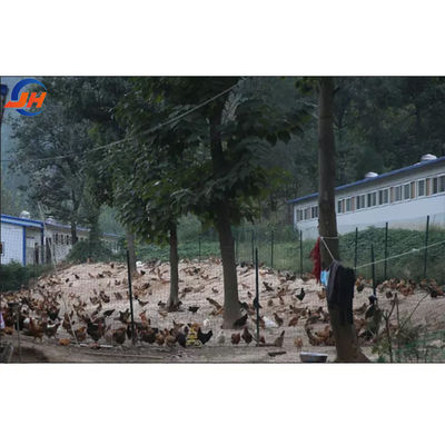 فولاد درجه طراحی مدرن مرغخانه برای کشاورزی مرغخانه ساختارهای فولاد کاخ مزرعه