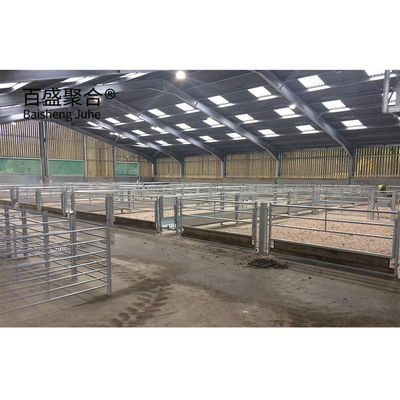 Hot Galvanizing Steel Structure Livestock Shed با رنگ های سفارشی و استاندارد ASTM