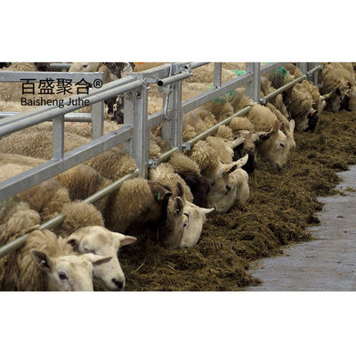 ساختمان های فولادی ساختارهای فولادی گوسفند گودال طراحی با گرم غوطه ور شدن گالوانیزه چوب فولادی