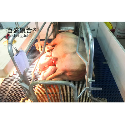 خانه خوک های تجاری سفارشی استاندارد ASTM با درب رول و ساختار فولادی پیش ساخته