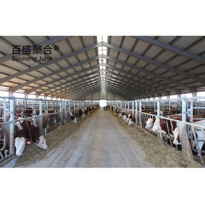 ساختارهای فولادی پیش ساخته سنگین گاوخانه برای MTS طراحی طراحی مزرعه گاو شیر