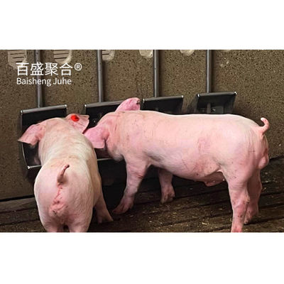 طراحی خانه خوک فروشی فولادی پیش ساخته برای مزرعه مرغ