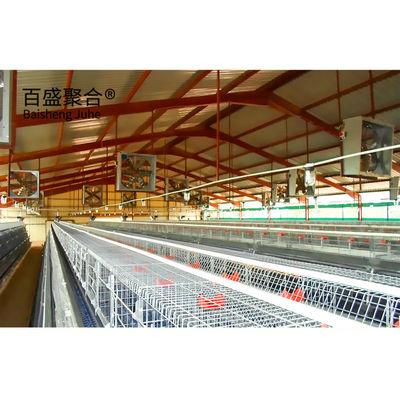 گالوانیزه A Type Chicken Cages Layer Poultry با صدور گواهینامه ISO9001 2008/CE/BV