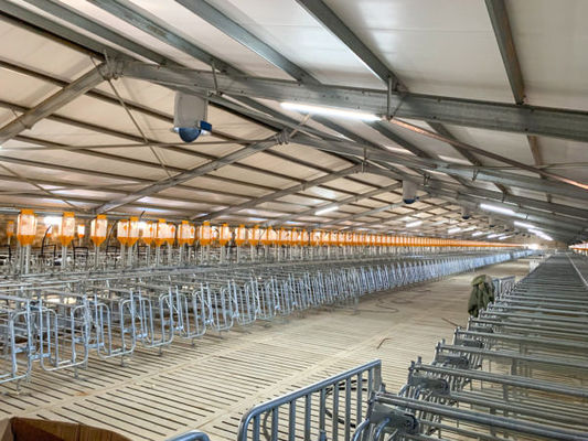 کابین هاوس Poultry Farm Design با ساختمان صنعتی و کانال فولاد شکل C.Z