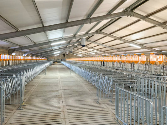 کابین هاوس Poultry Farm Design با ساختمان صنعتی و کانال فولاد شکل C.Z