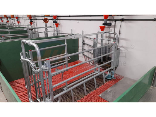 کابین هاوس Poultry Farm Design با ساختمان صنعتی و کانال فولاد شکل C.Z