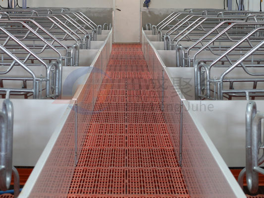 کابین هاوس Poultry Farm Design با ساختمان صنعتی و کانال فولاد شکل C.Z