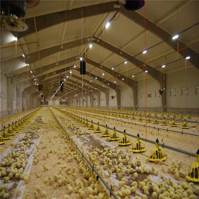 Q235/Q345 فولاد کم کربن ساختمان مزرعه مرغ برای گاو بز اسب میدان گاو گوسفند